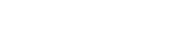 币全网
