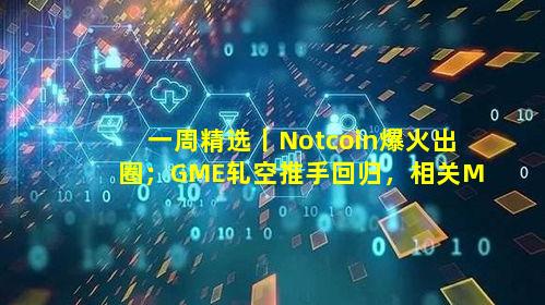 一周精选丨Notcoin爆火出圈；GME轧空推手回归，相关Meme币日涨百倍；BTC减半后数据回顾