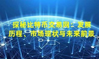 探秘比特币交易网：发展历程、市场现状与未来前景